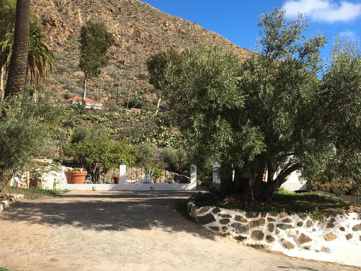 El Regalo De Mis Abuelos Santa Lucia De Tirajana Экстерьер фото